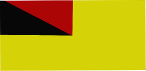 Negeri Sembilan's Flag