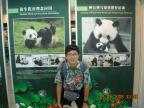 YYOng and about panda poster
