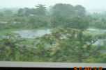 Putrajaya Wetland
