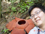 I and Rafflesia