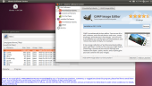 Unity desktop with a few windows opened on Ubuntu
